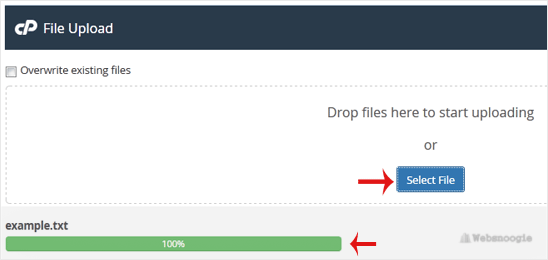 A great example: cPanel image from our Omaha web design and SEO company