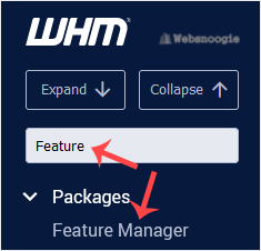 A WHM image created by Websnoogie, LLC, Omaha web hosting